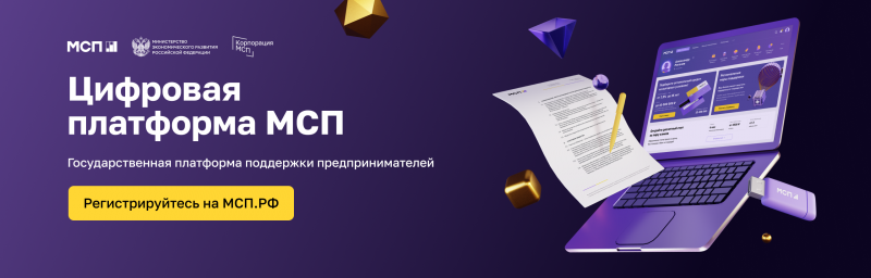 О Цифровой платформе МСП.РФ